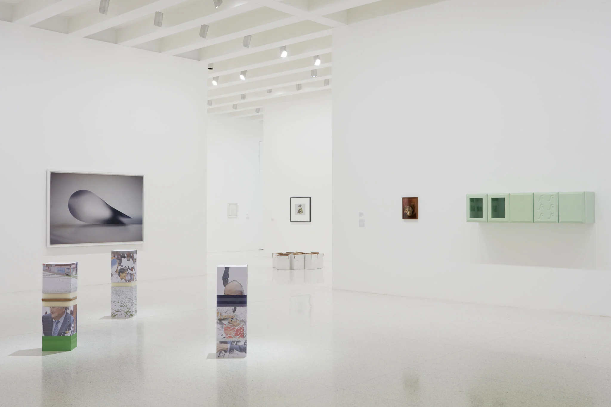 Ordinary Pictures, Walker Art Center, Minneapolis, 2016