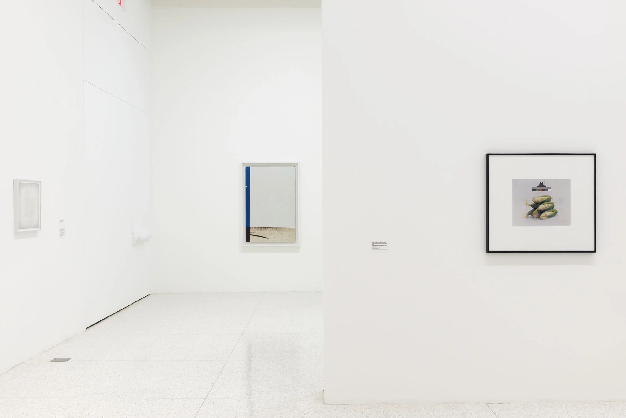 Ordinary pictures, Walker Art Center, Minneapolis, 2016
