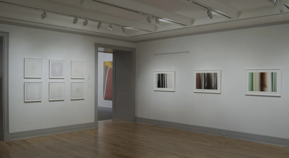 Mary Ellen Bartley: Leaning Above the Page, Guild Hall Museum, 2014