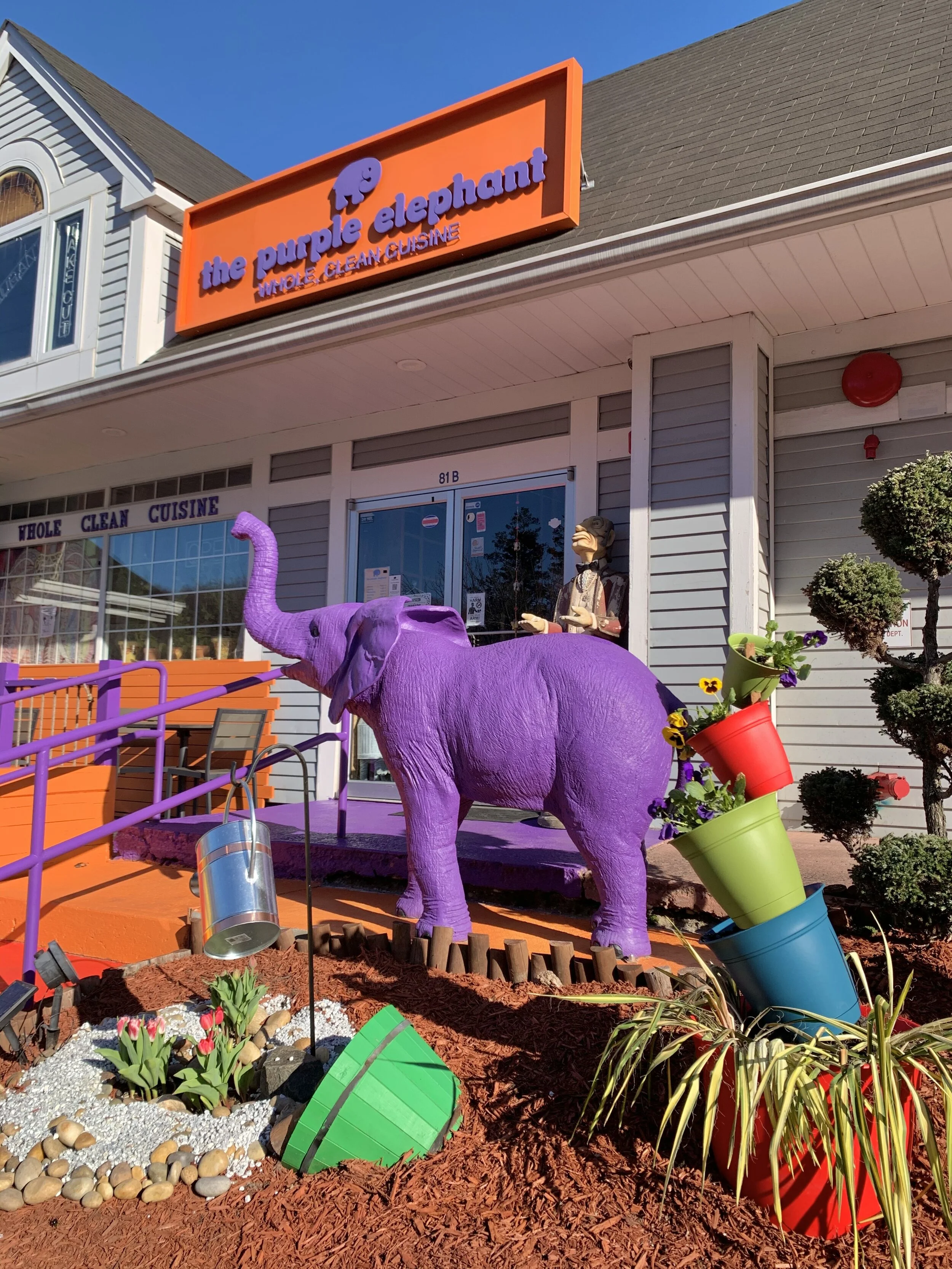 TikTok: @purpleelephantrestaurant