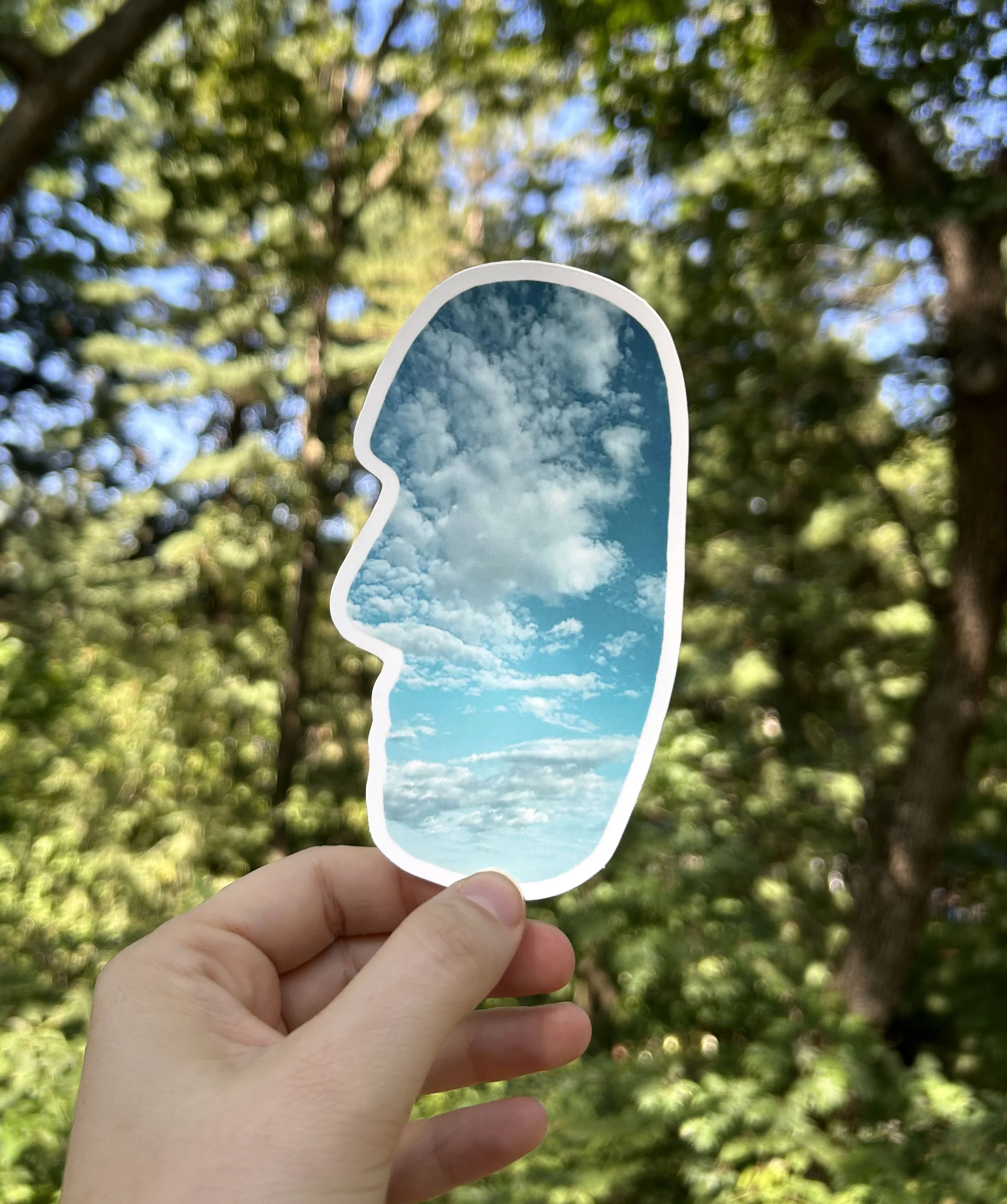 Head in the Clouds_Sticker.jpg