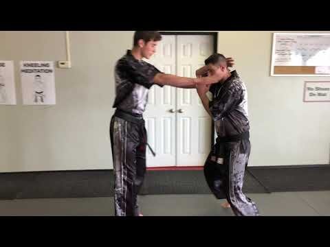 Agressive Twins 2