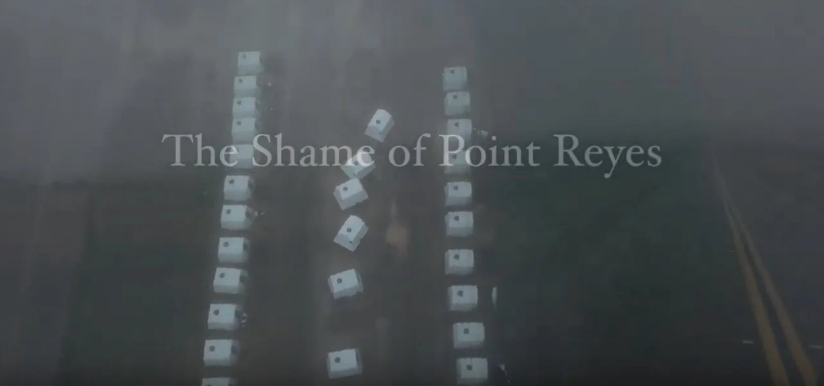 The Shame of Point Reyes.jpg