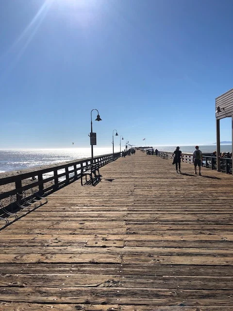 Trauma Informed 21st Century Learning