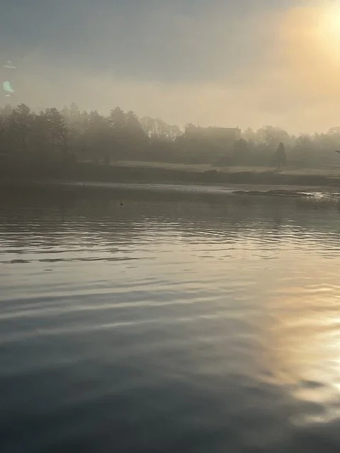 The Island Paradise is a Paradox