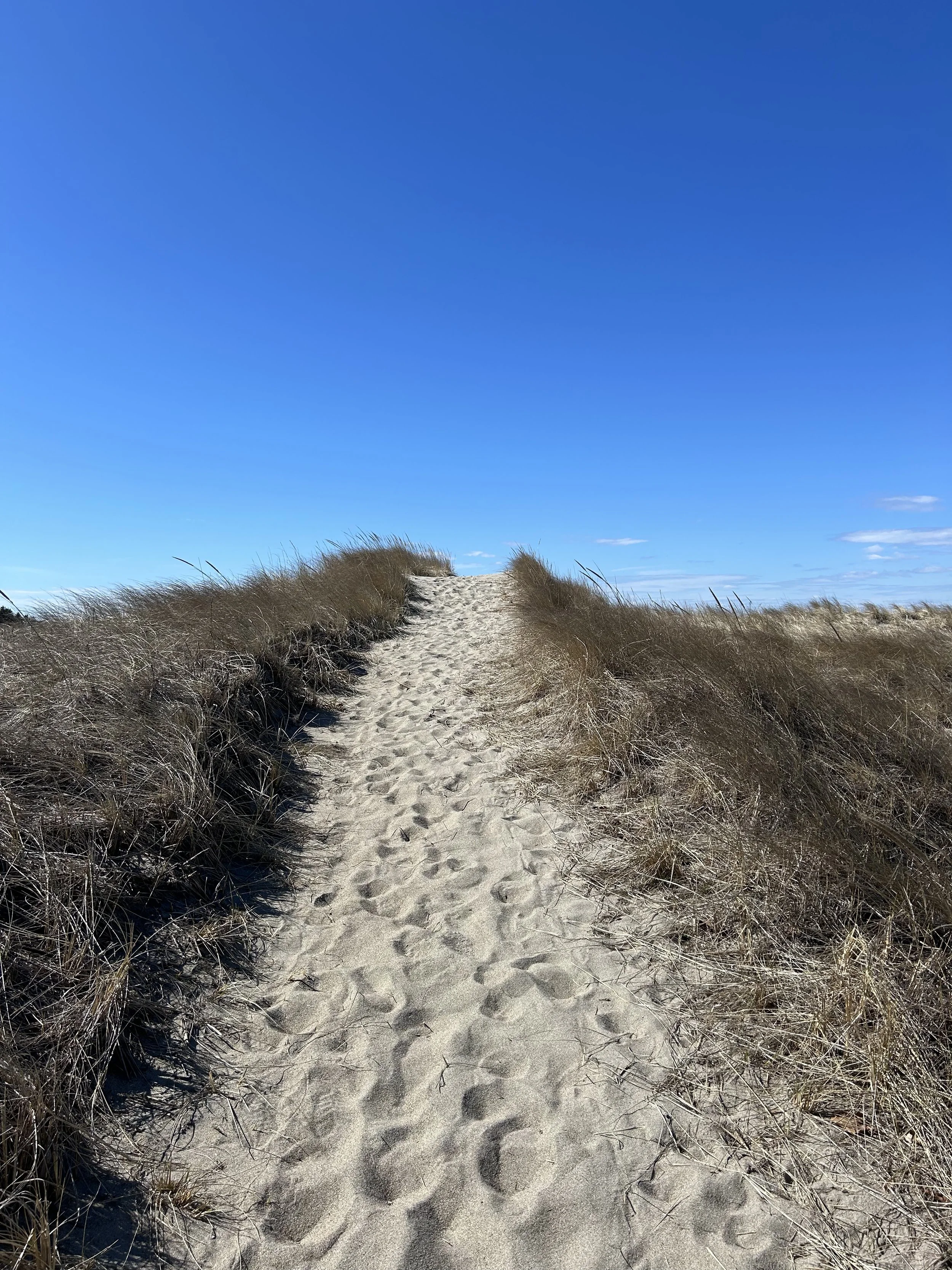 Real Estate Update February 2025