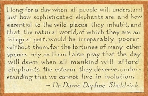 Elephant Painting_proof.jpg