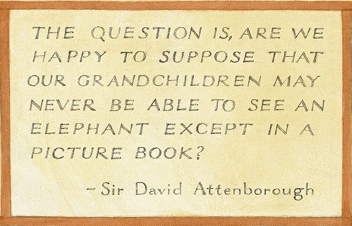 Elephant Painting_proof_attenborough.jpg