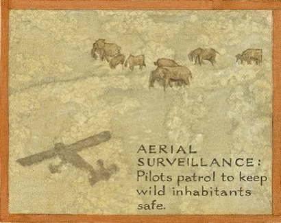 Elephant Painting_proof.jpg