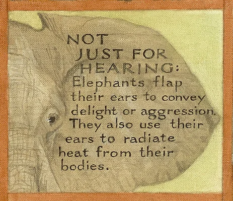 Elephant Painting_proof_ear2.jpg