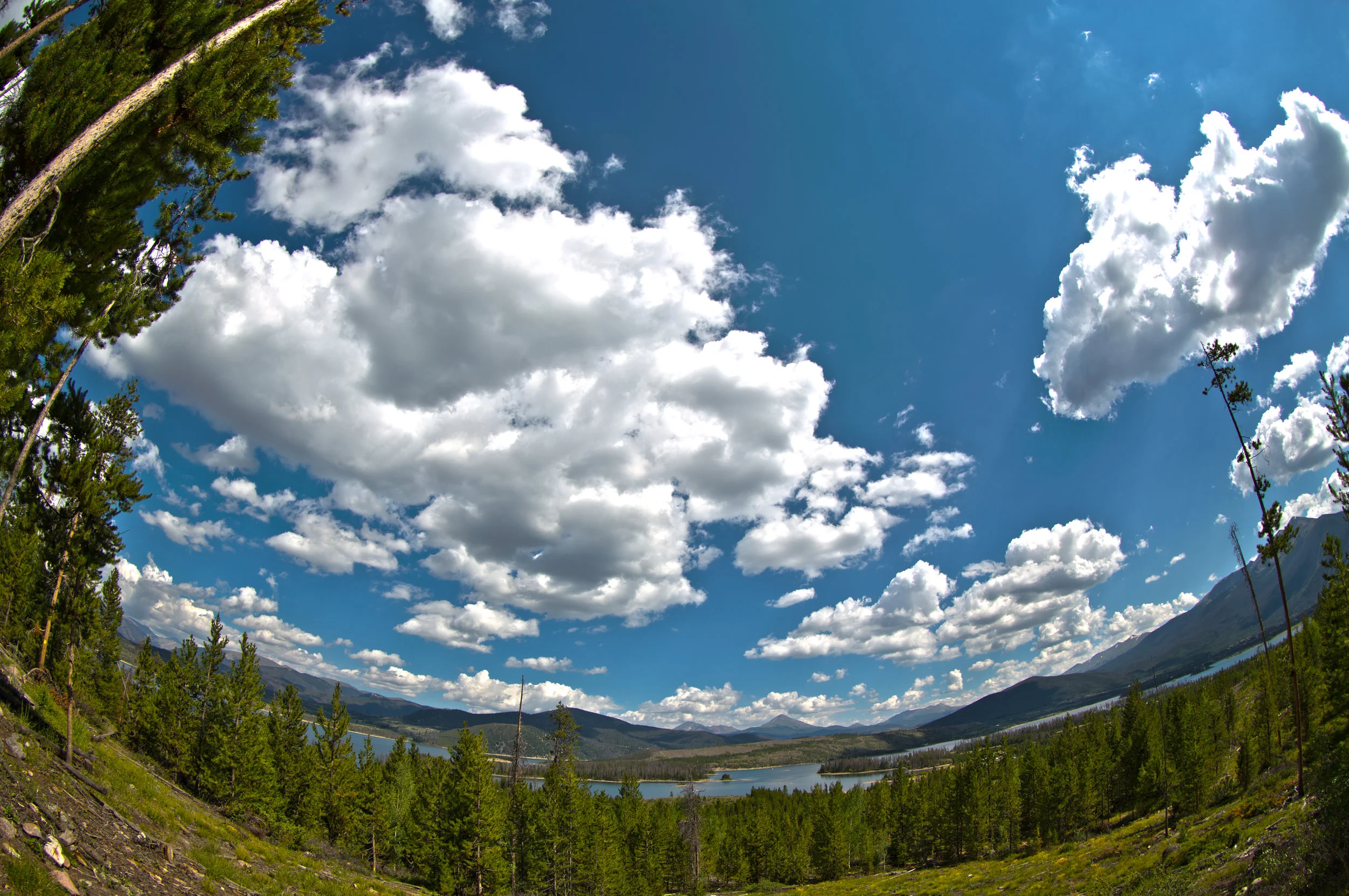 reservoir FE.jpg
