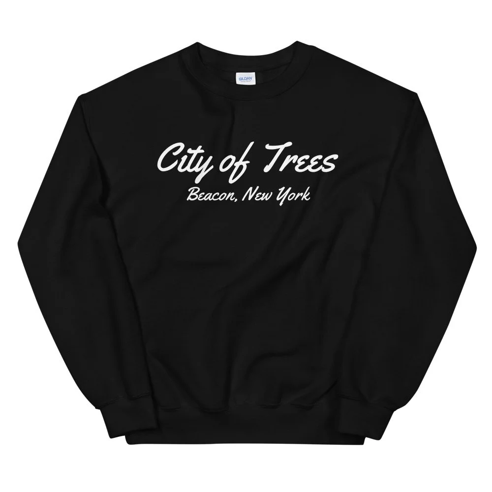 unisex-crew-neck-sweatshirt-black-front-61b4d1a075f19.jpg