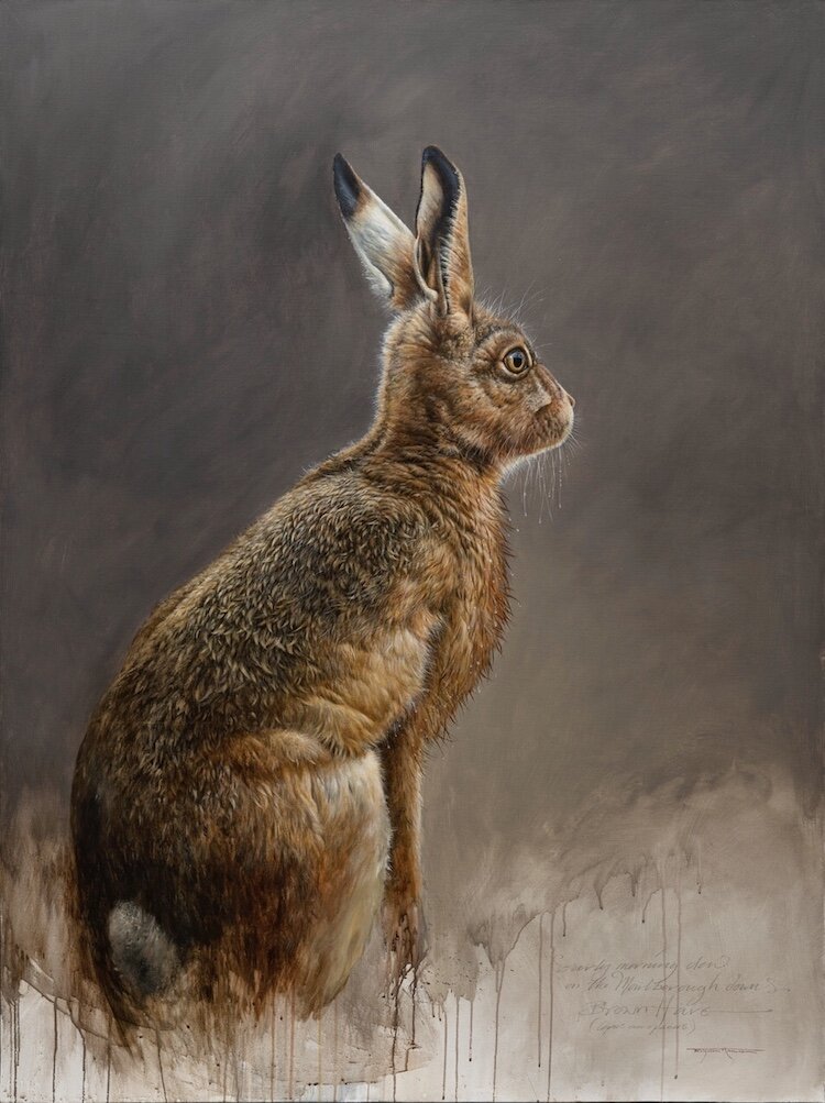 ANI002_Hare II web.jpeg
