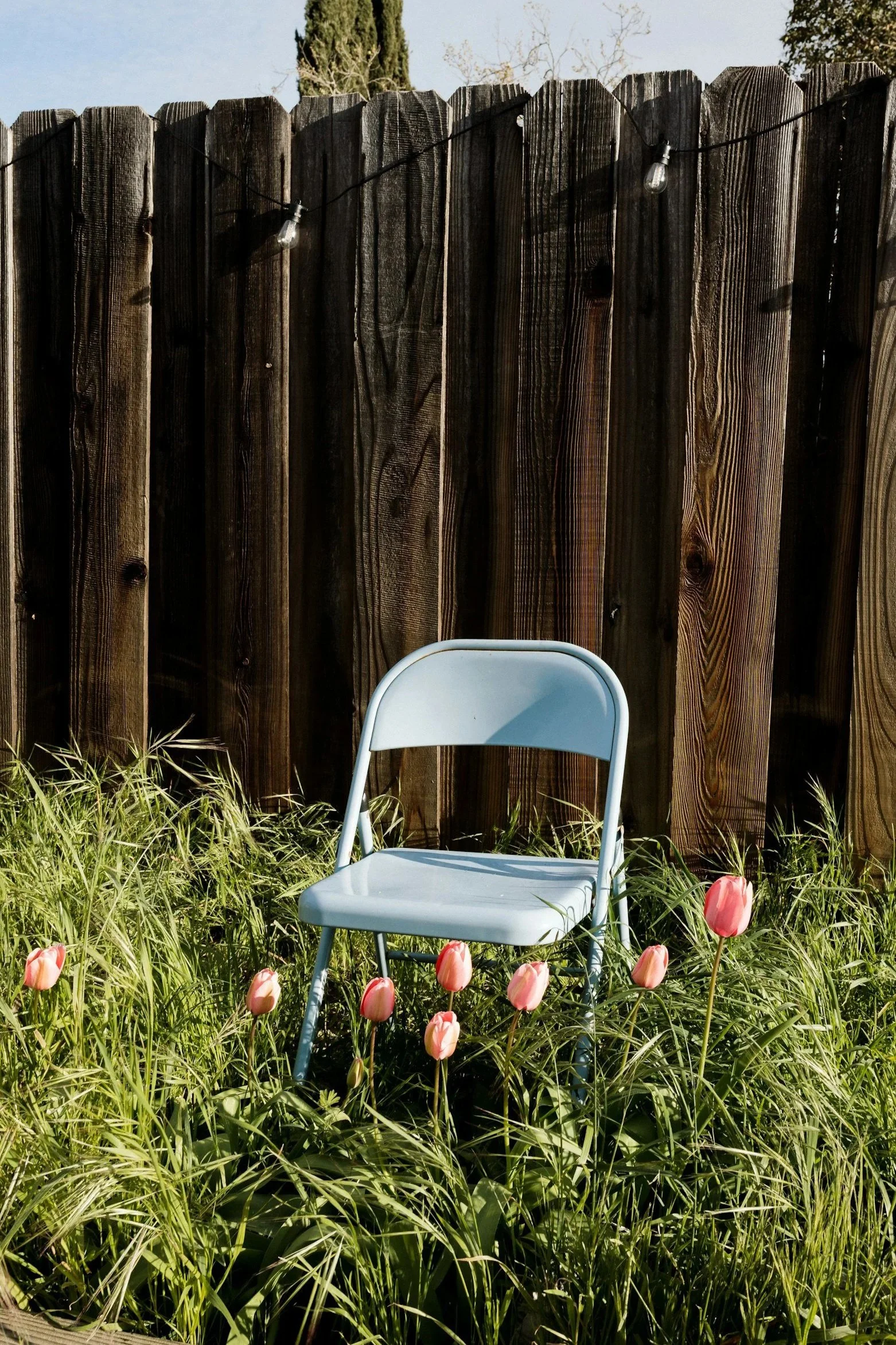 Chair Yoga Where You Are Sundays