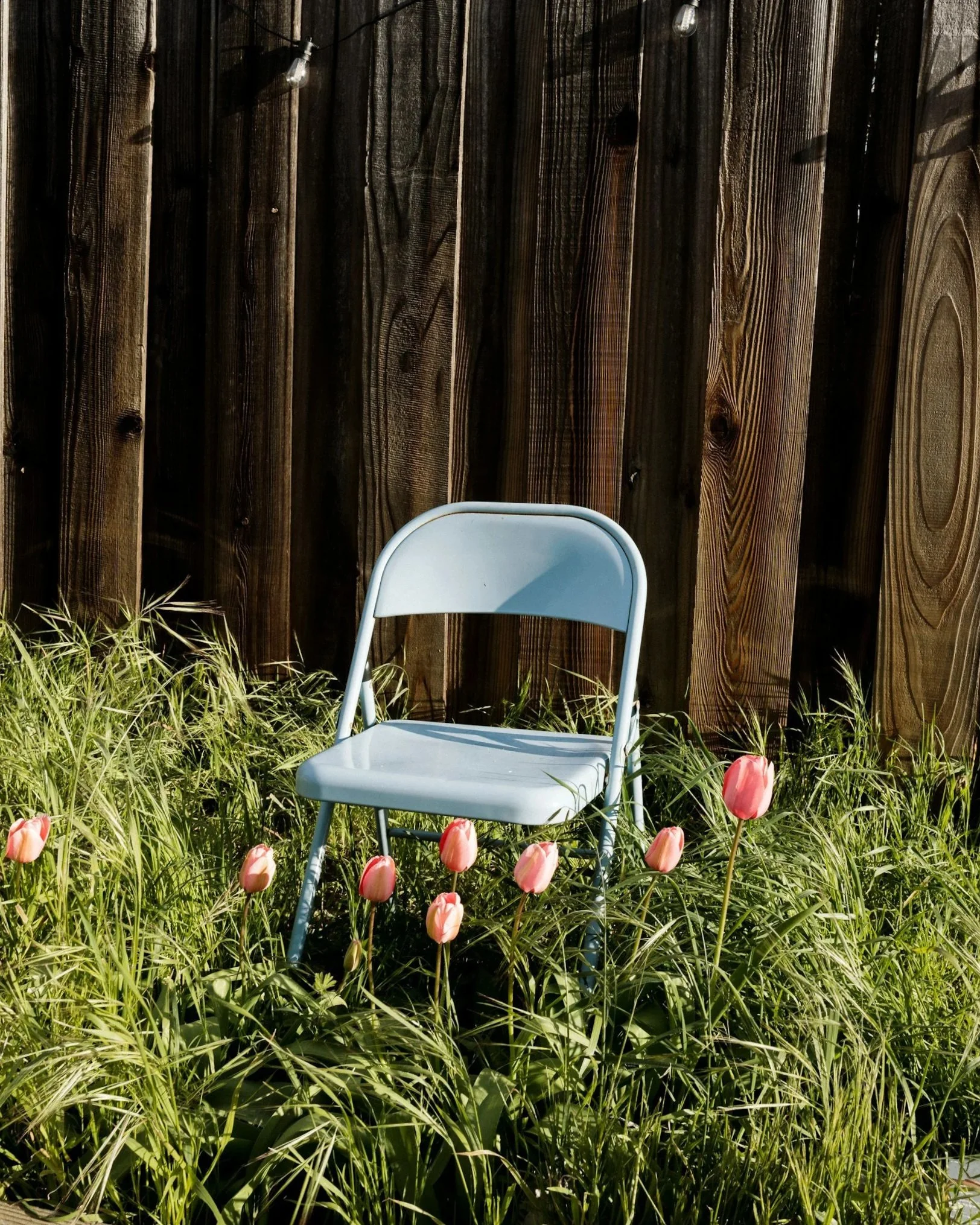 Chair Yoga Where You Are: Flexibility Focus