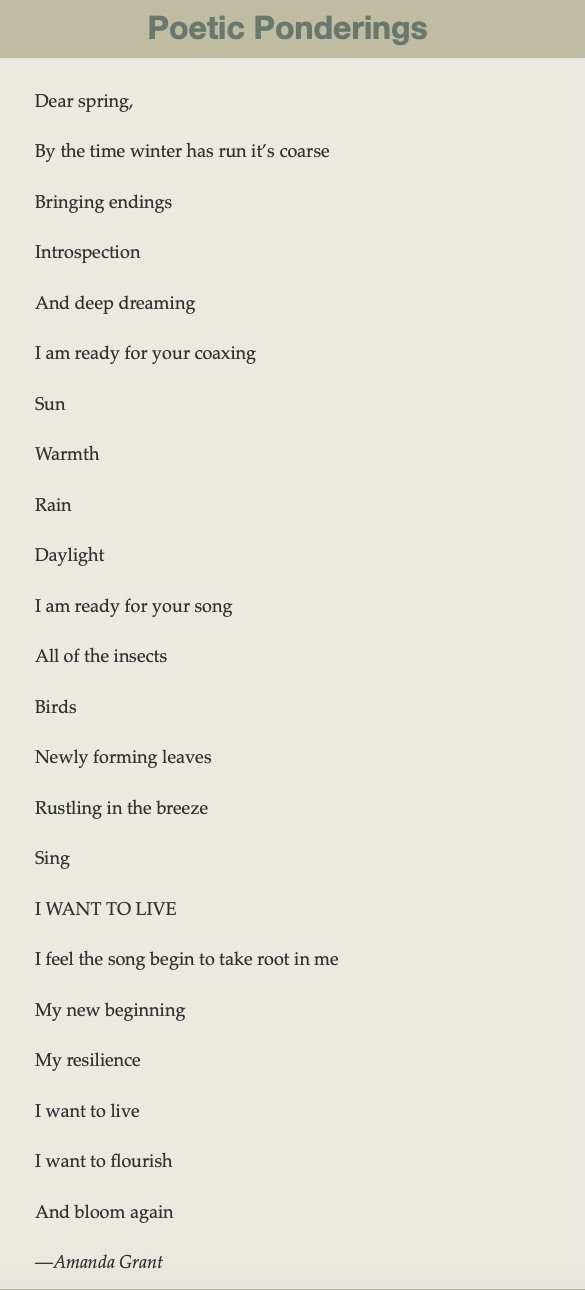 Image 5-14-24 at 7.22 PM (1).jpeg