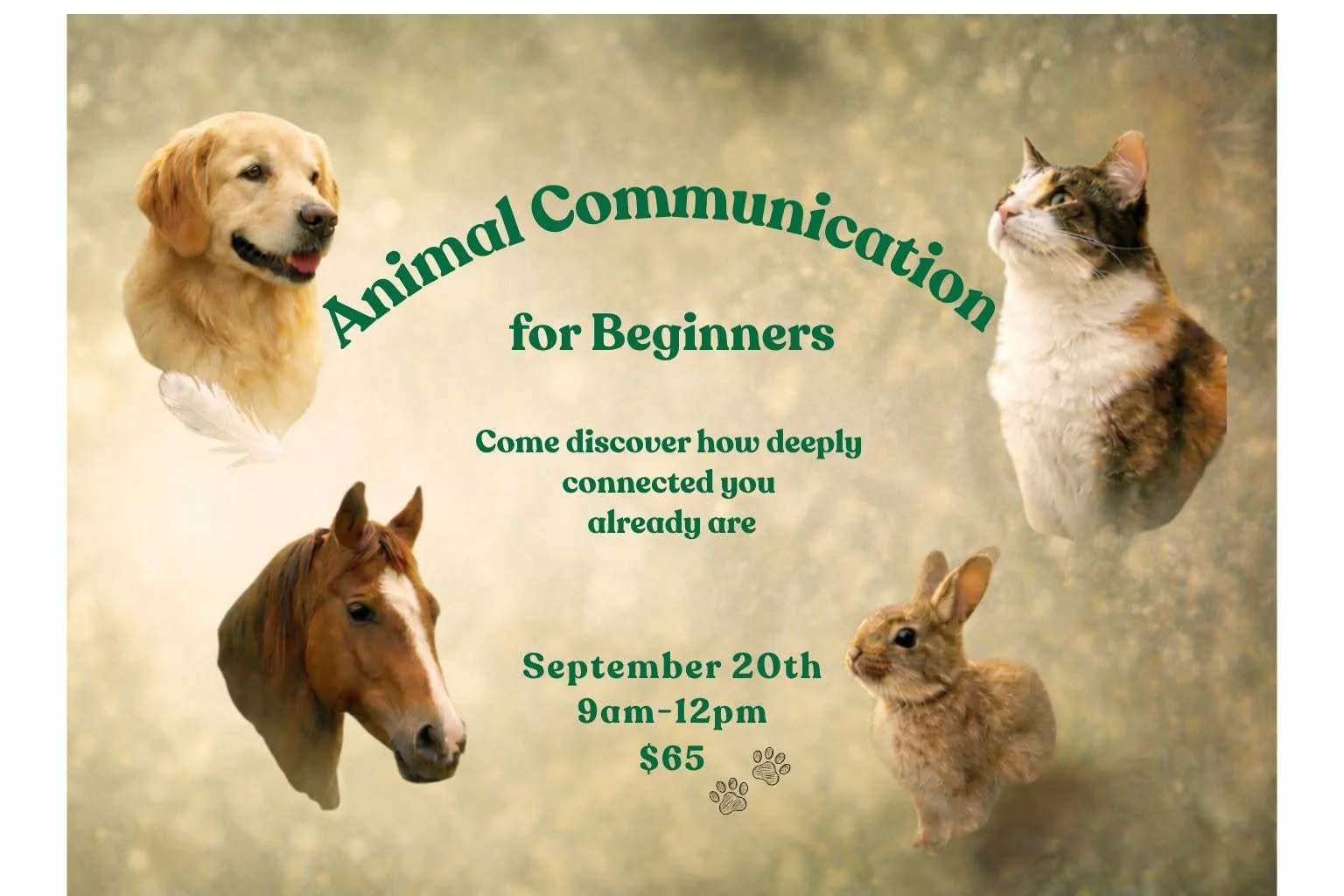 Animal Communication for Beginners
