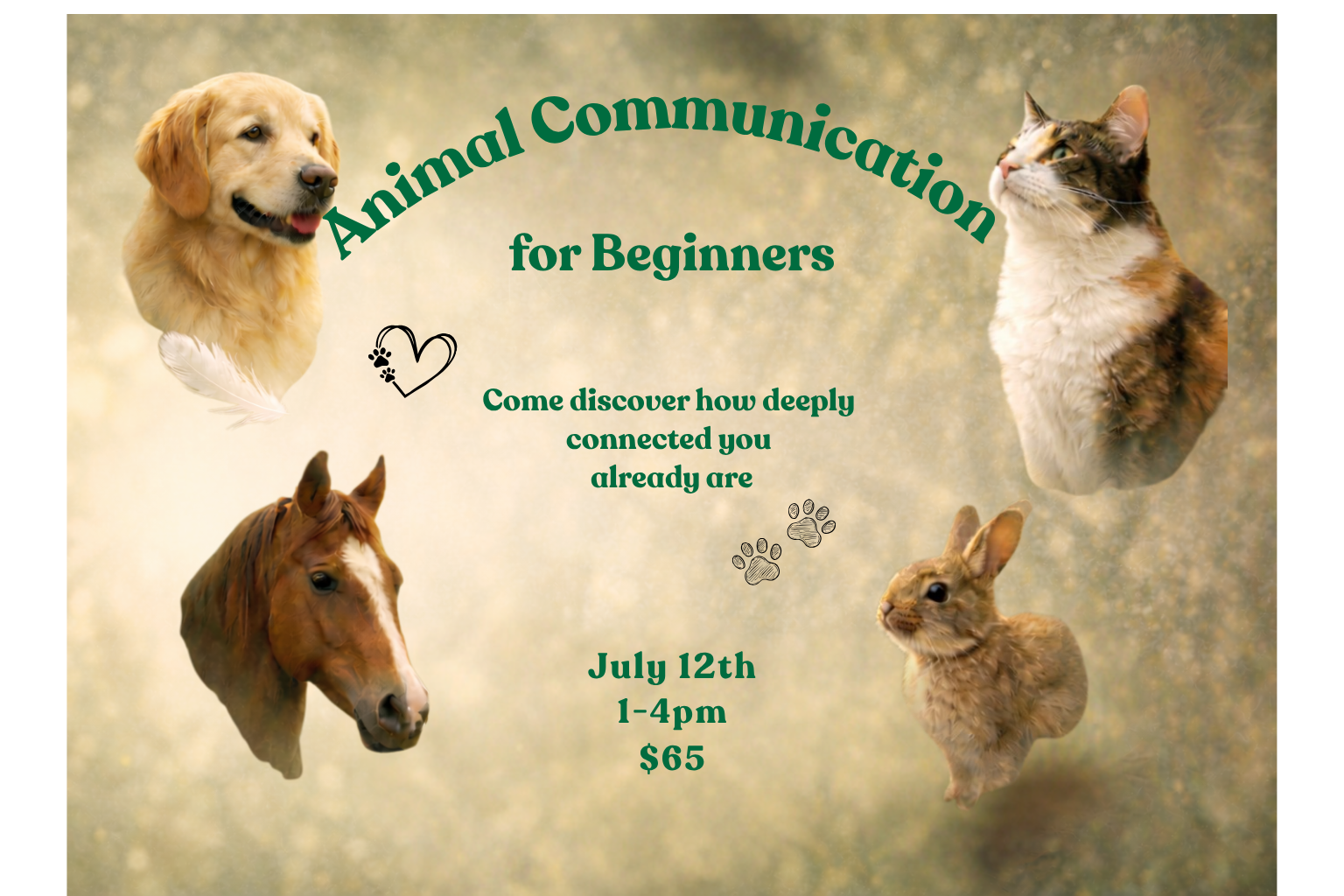 Animal Communication for Beginners