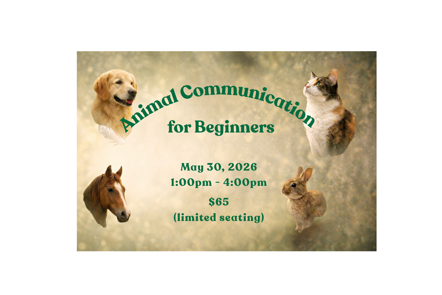Animal Communication for Beginners