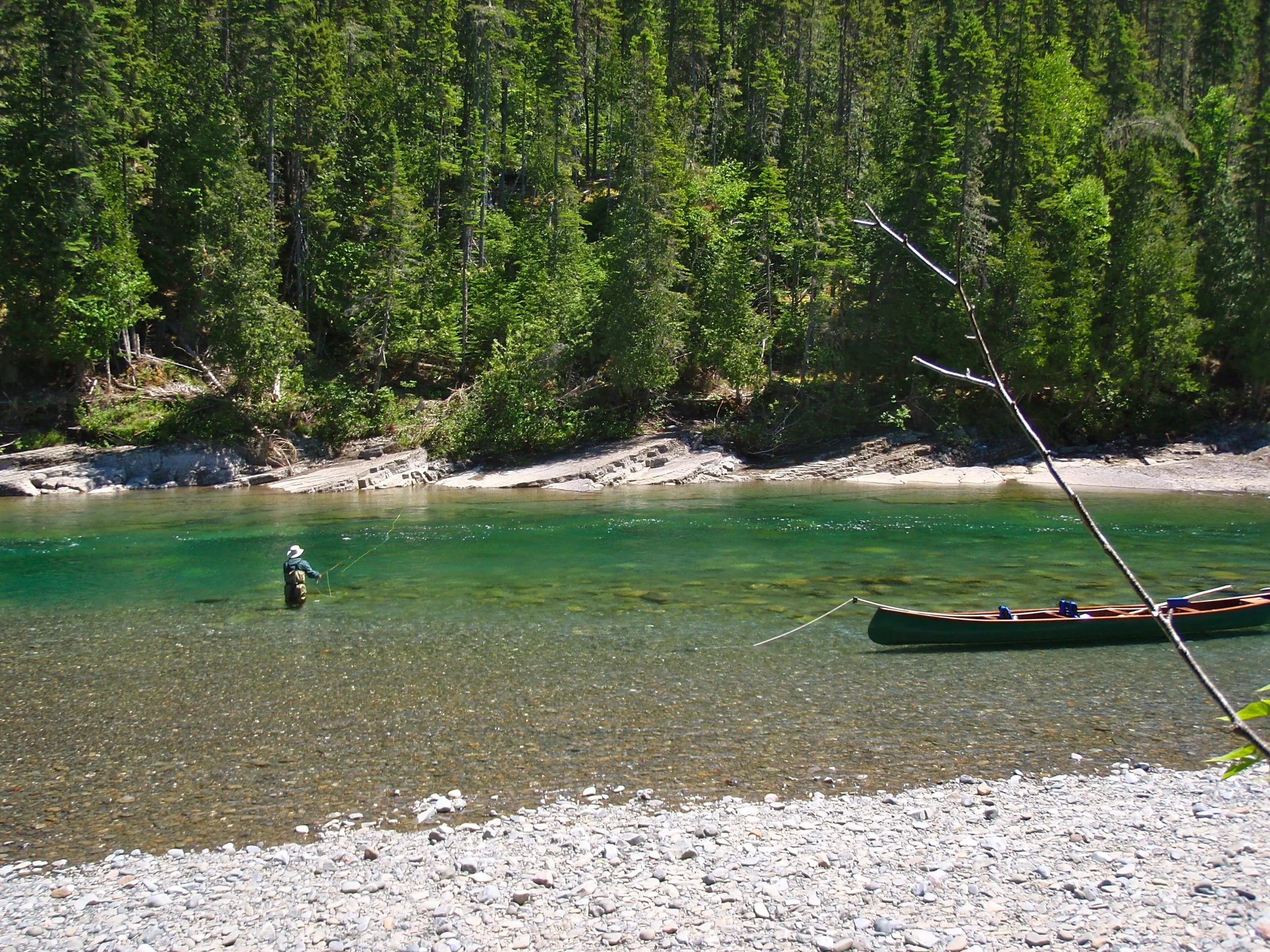 Double Camp still has a good flow despite low water conditions but its still full of salmon!