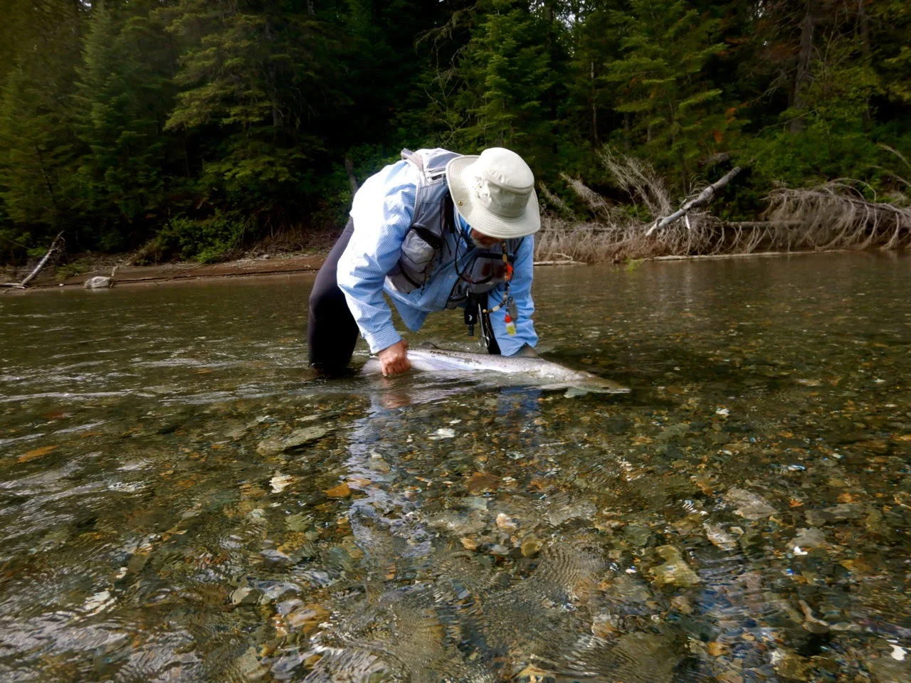 Beautiful Catch! Congrats Dan Greenberg!