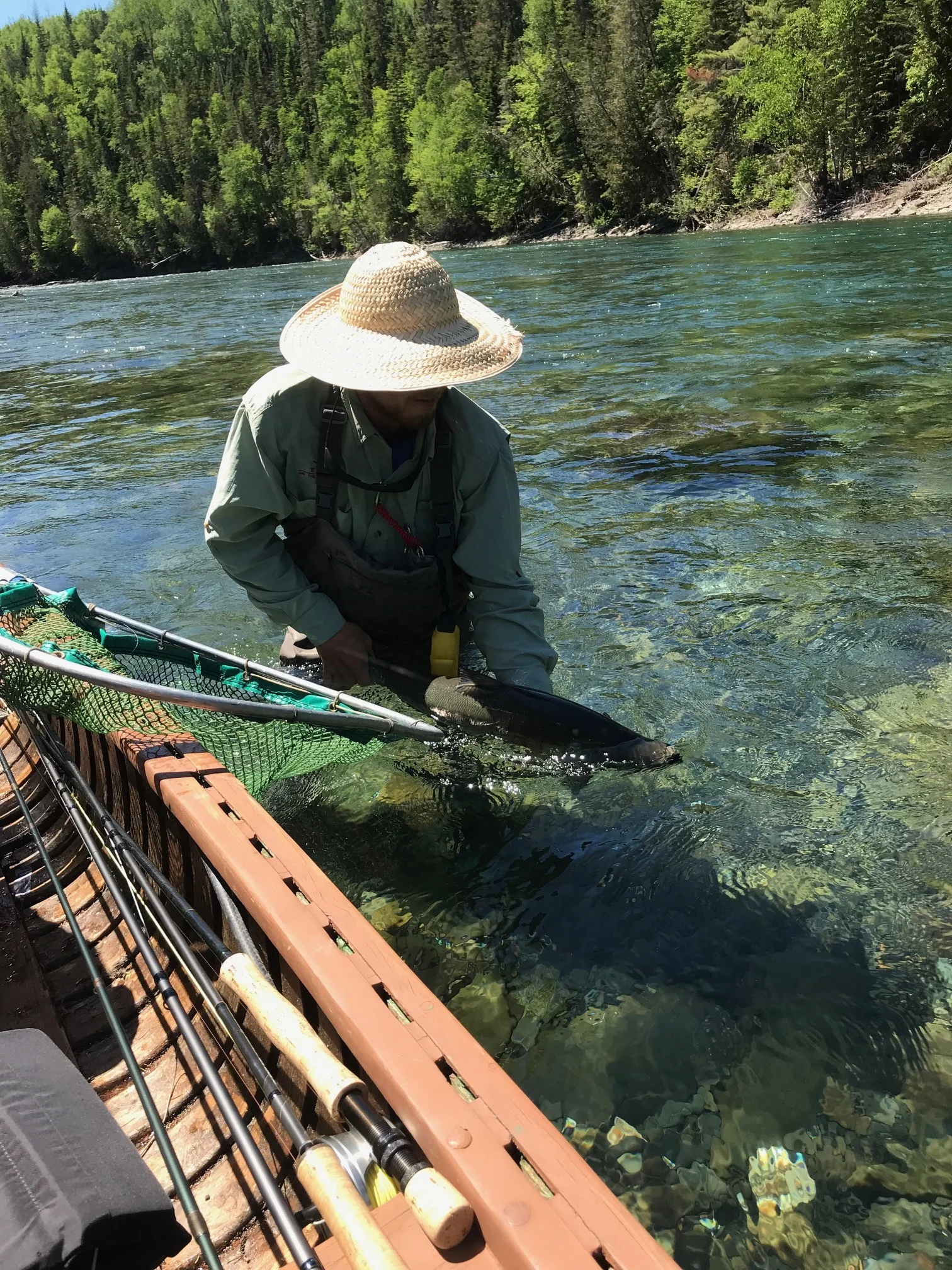 Our Guide Olivier - Catch & Release -