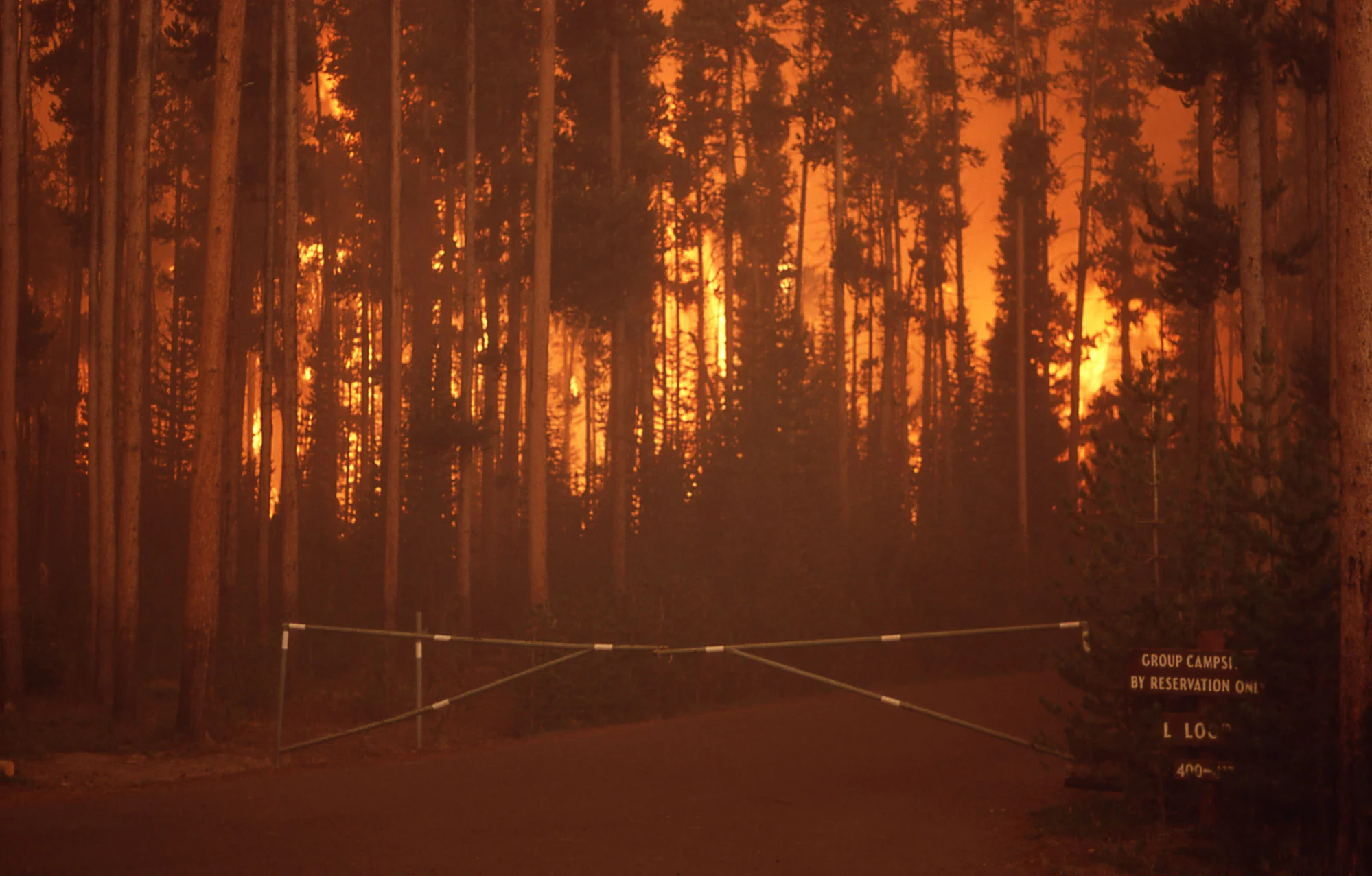 A campground burns in Yellowstone in 1988. Photo by Jeff Henry, National Parks Service .