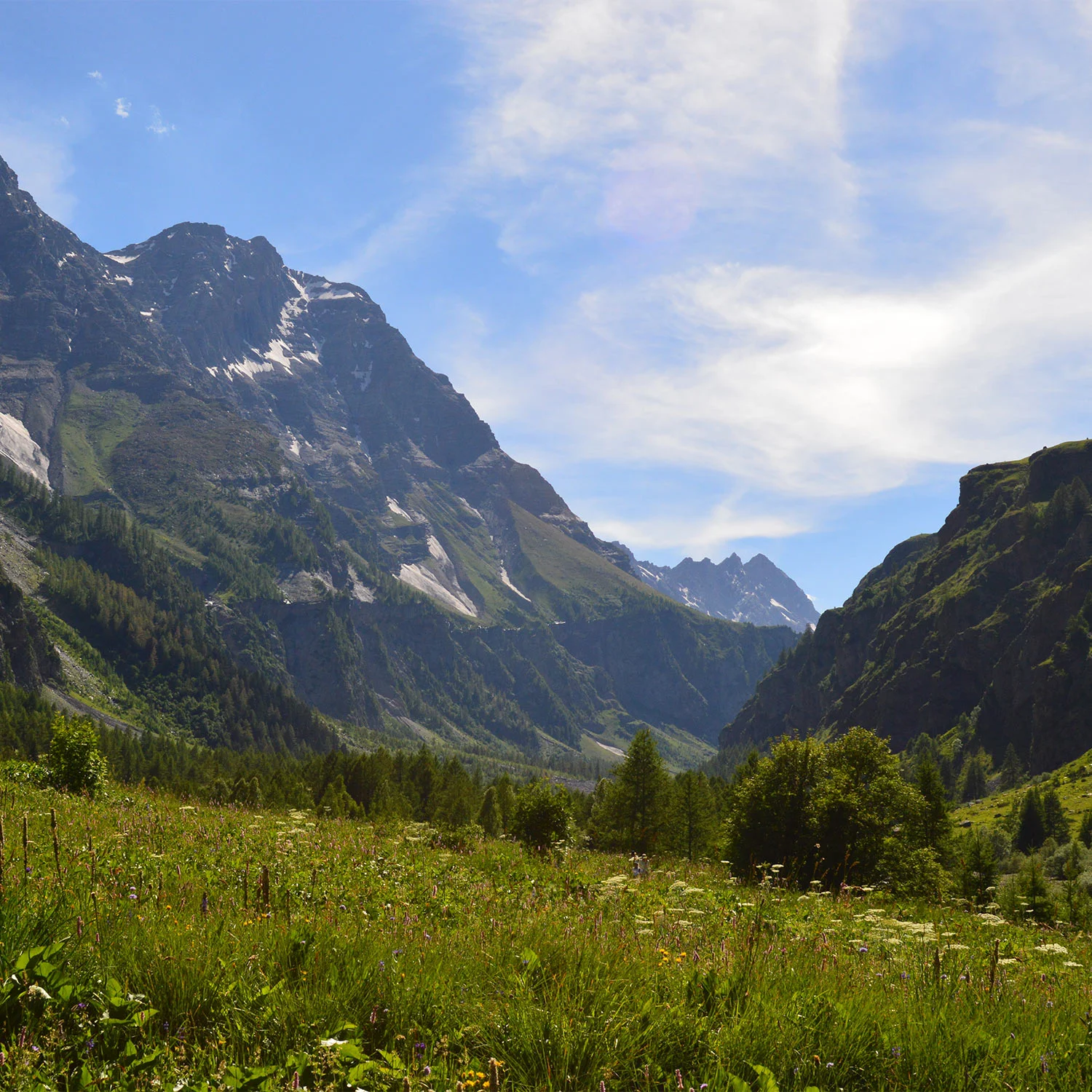 Mountain ecosystems of the French Alps in Écrins National Park. Photo by Ceres Barros.