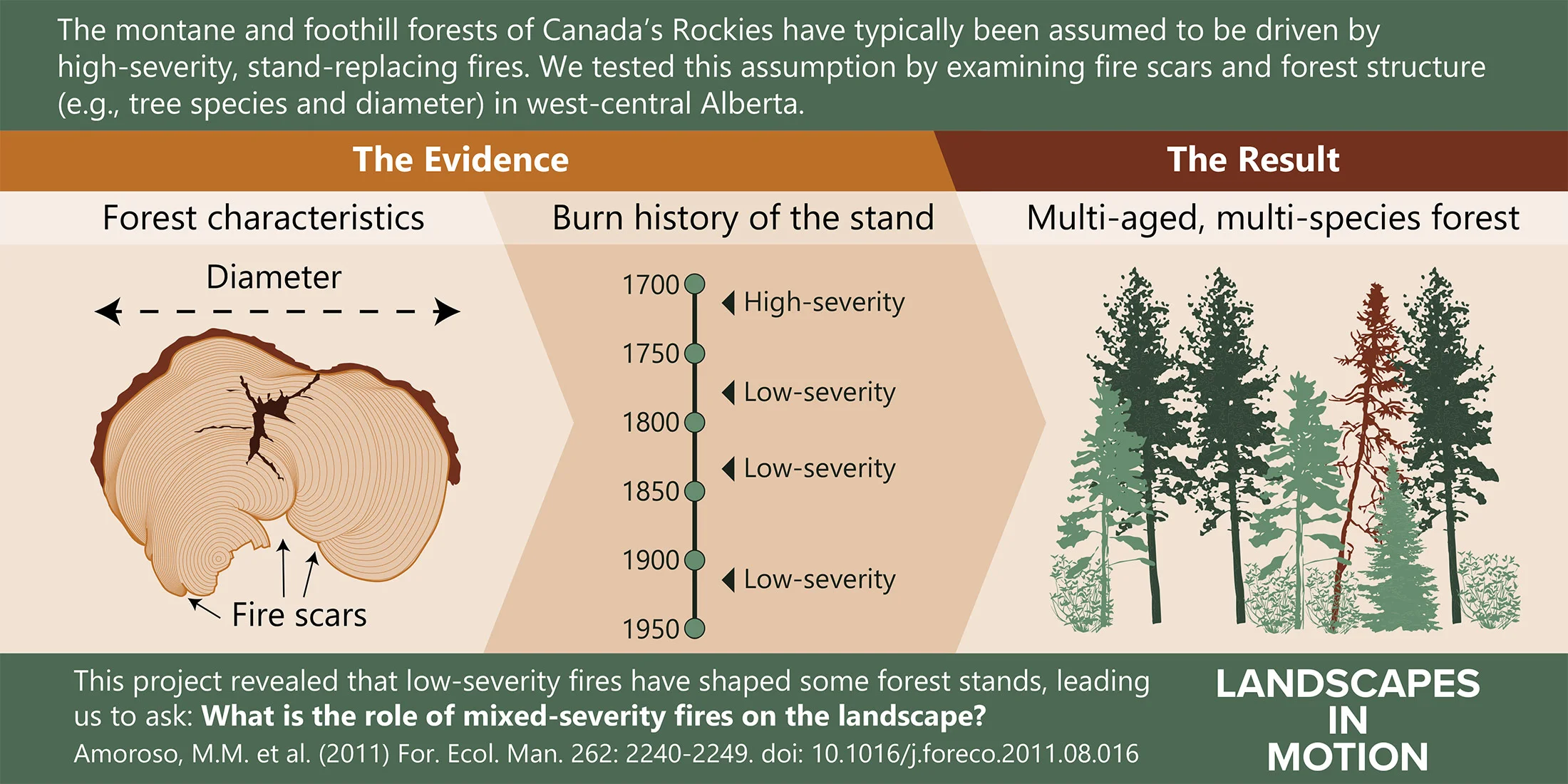 Amoroso-et-al-infographic.jpg