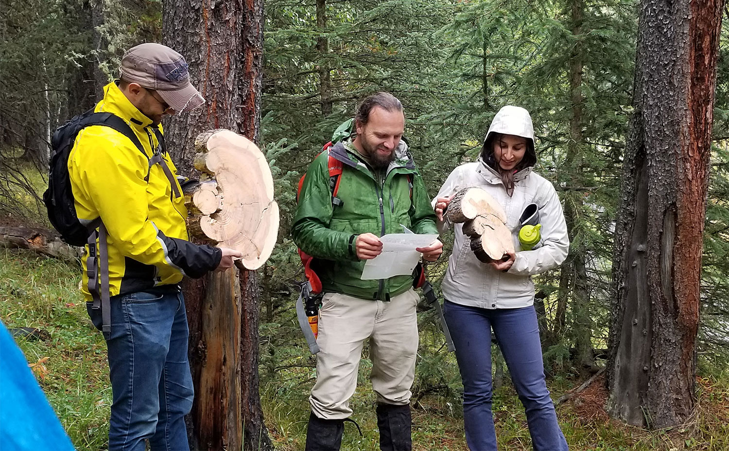 Cameron (centre) is flanked by Alex Chubaty (fRI Research) and Ceres Barros (Landscapes in Motion) as they hold up fire scarred tree cookies. Photo by S. Odsen.