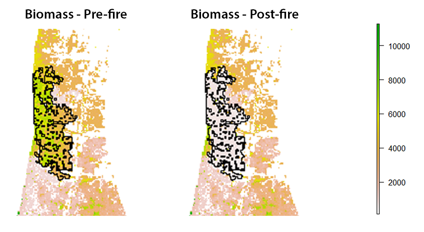 Preliminary results of a simulation in part of the Landscapes in Motion study area. You can see how total forest biomass decreased after a fire was simulated (black perimeter). The units provided are arbitrary values created for the demonstration. Graphic by Ceres Barros.