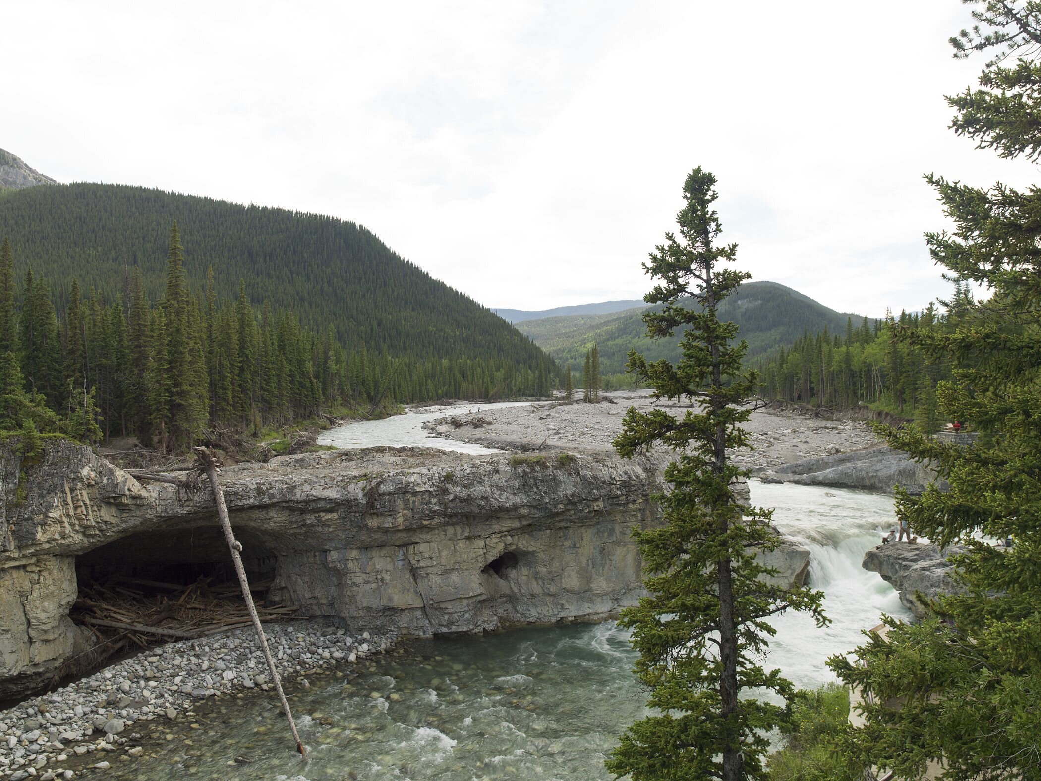 Elbow Falls - 2014