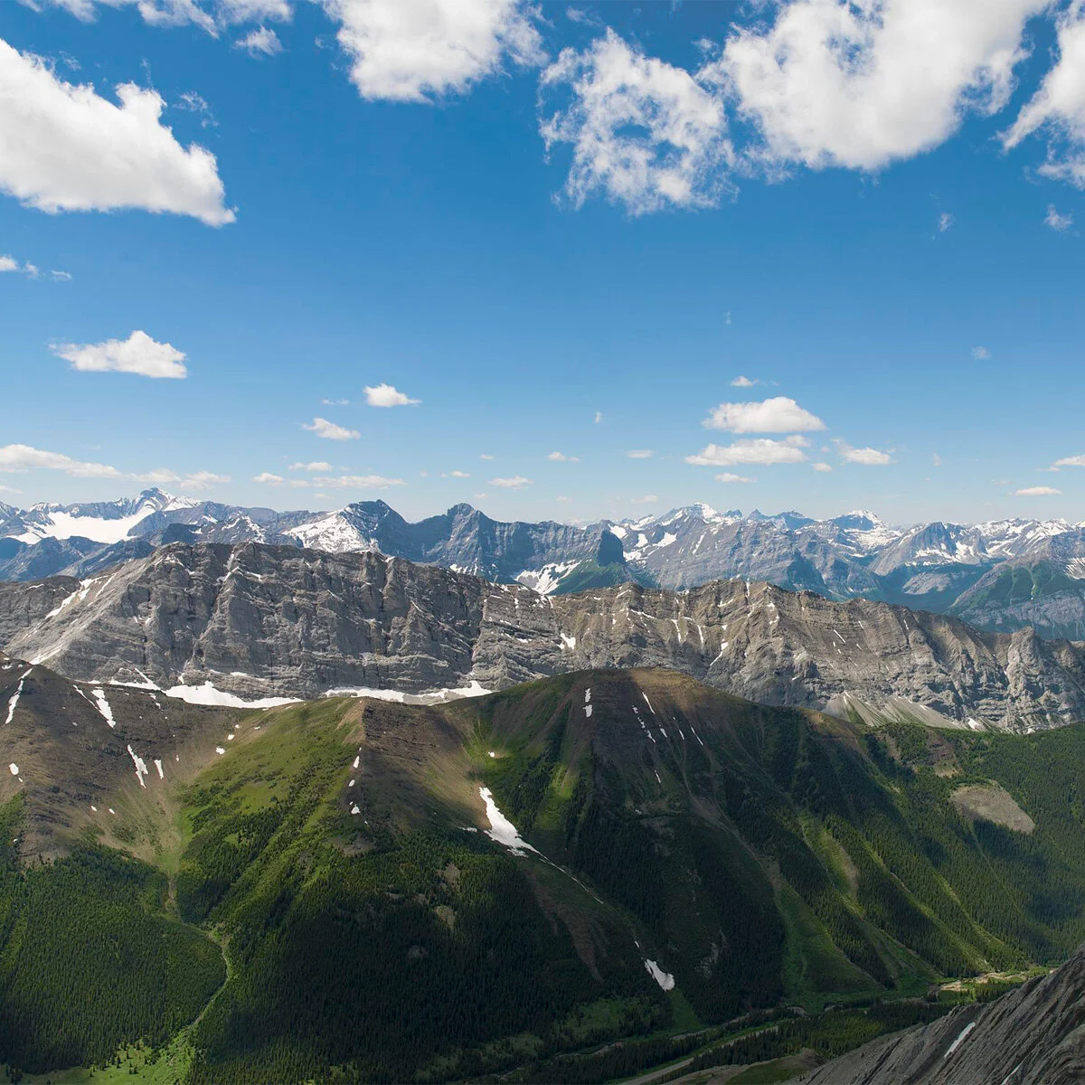 Burning Questions: The LIM Team’s responses to questions from the online workshop