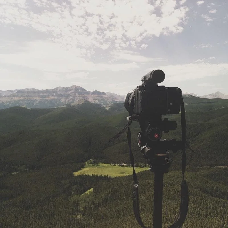 Looking back on Landscapes in Motion