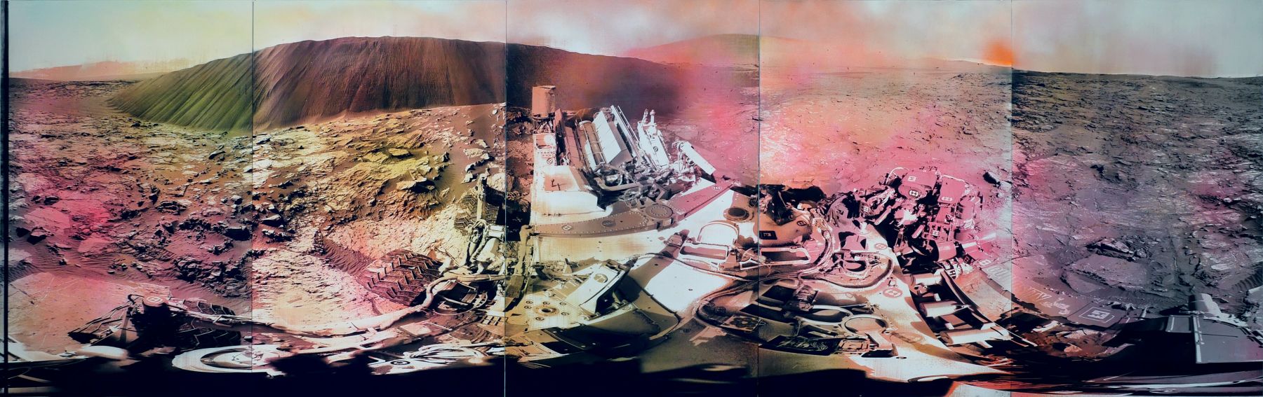 Pink Curiosity (2016)
