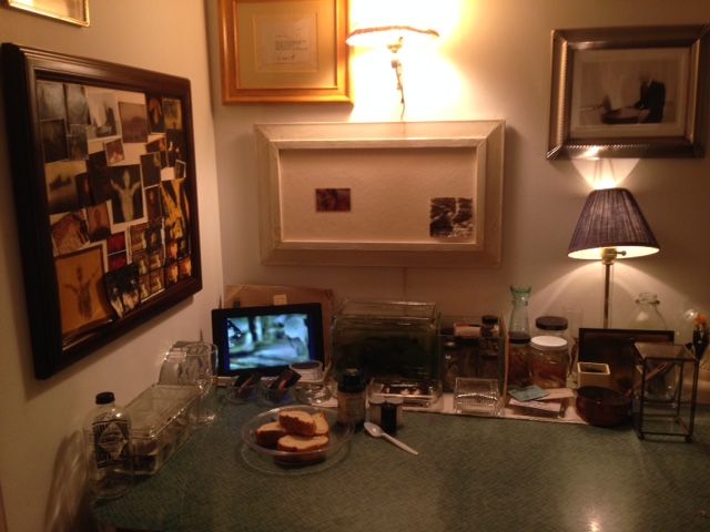 Installation view of John Brill, Splendid Isolation: Pathological Self-absorption Before the Age of Social Media SPRING/BREAK Art Show, February 28 – March 6, 2017