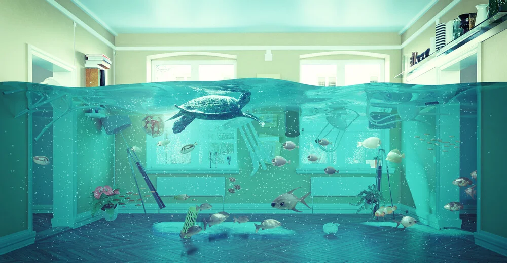 Residential Plumbing.jpg