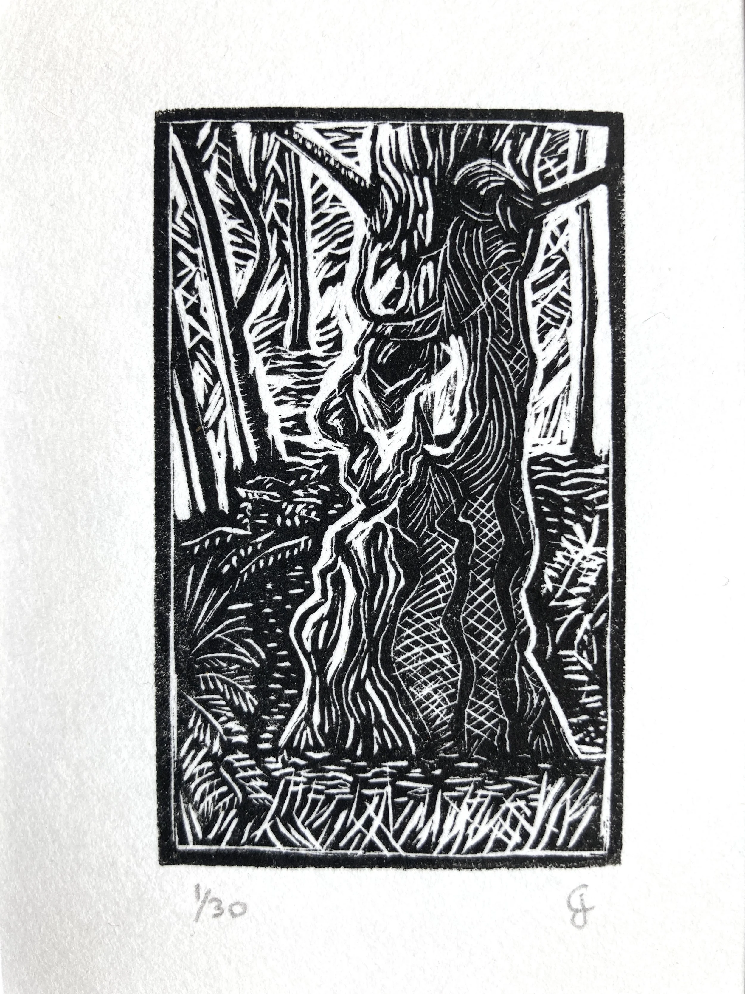 "Faces of Rushmere" 1
