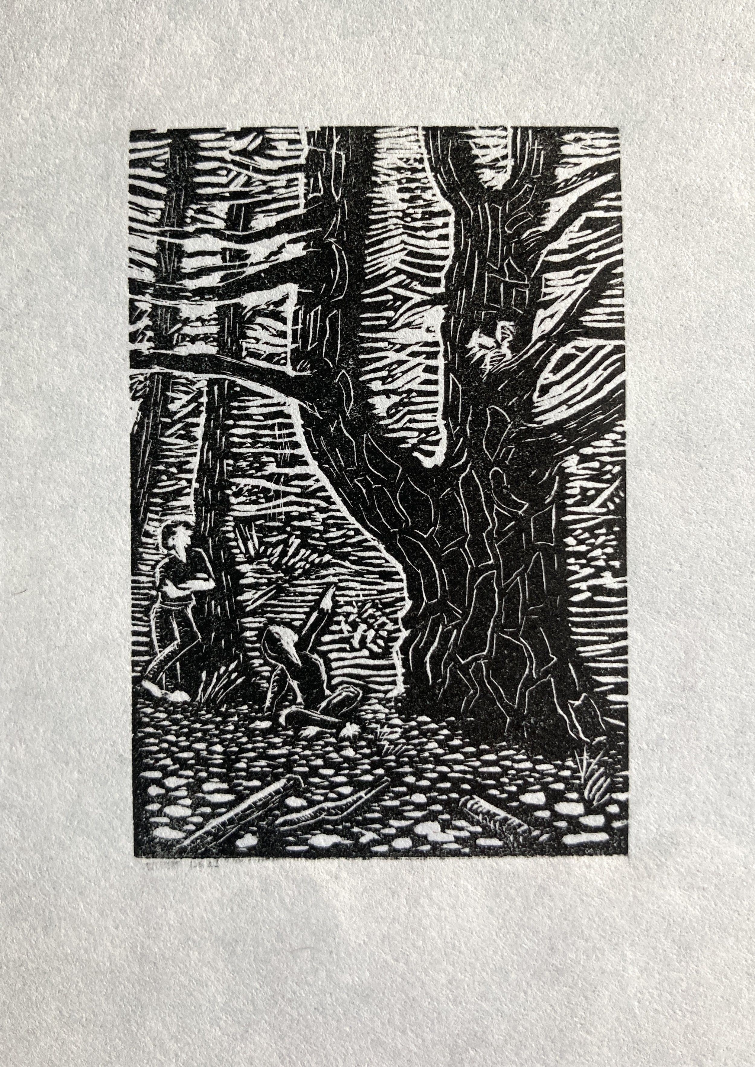 "Noble Pine"