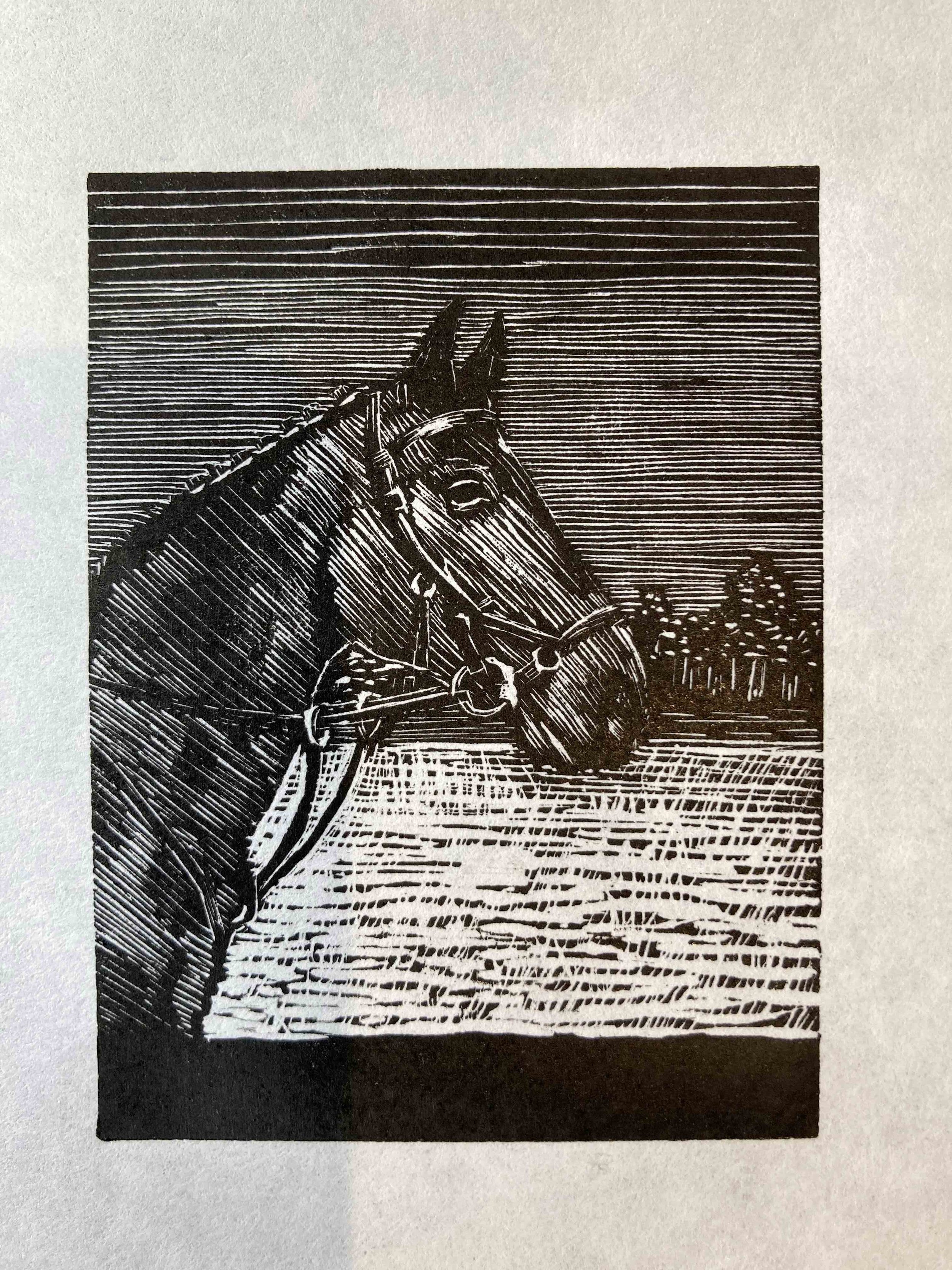 "Companion"