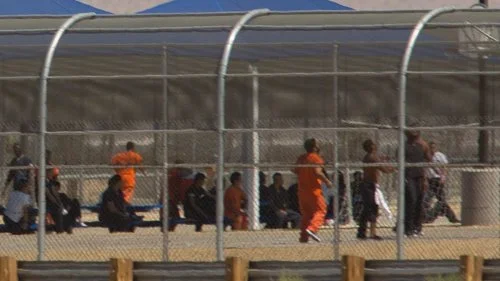 ICE, Backlogged US Courts Are Stranding Asylum Seekers in Detention