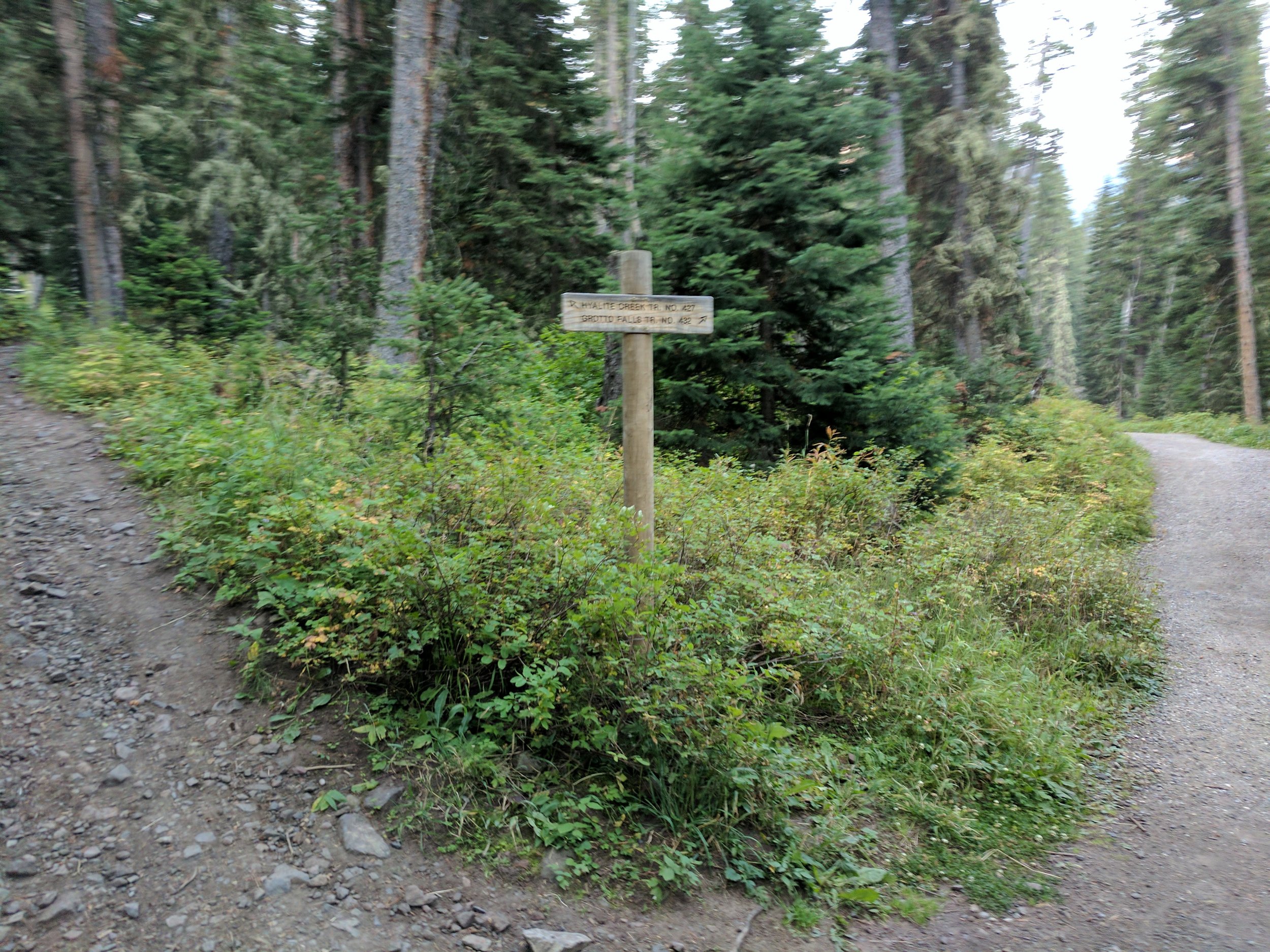 One of the splits between Hyalite and Grotto trails