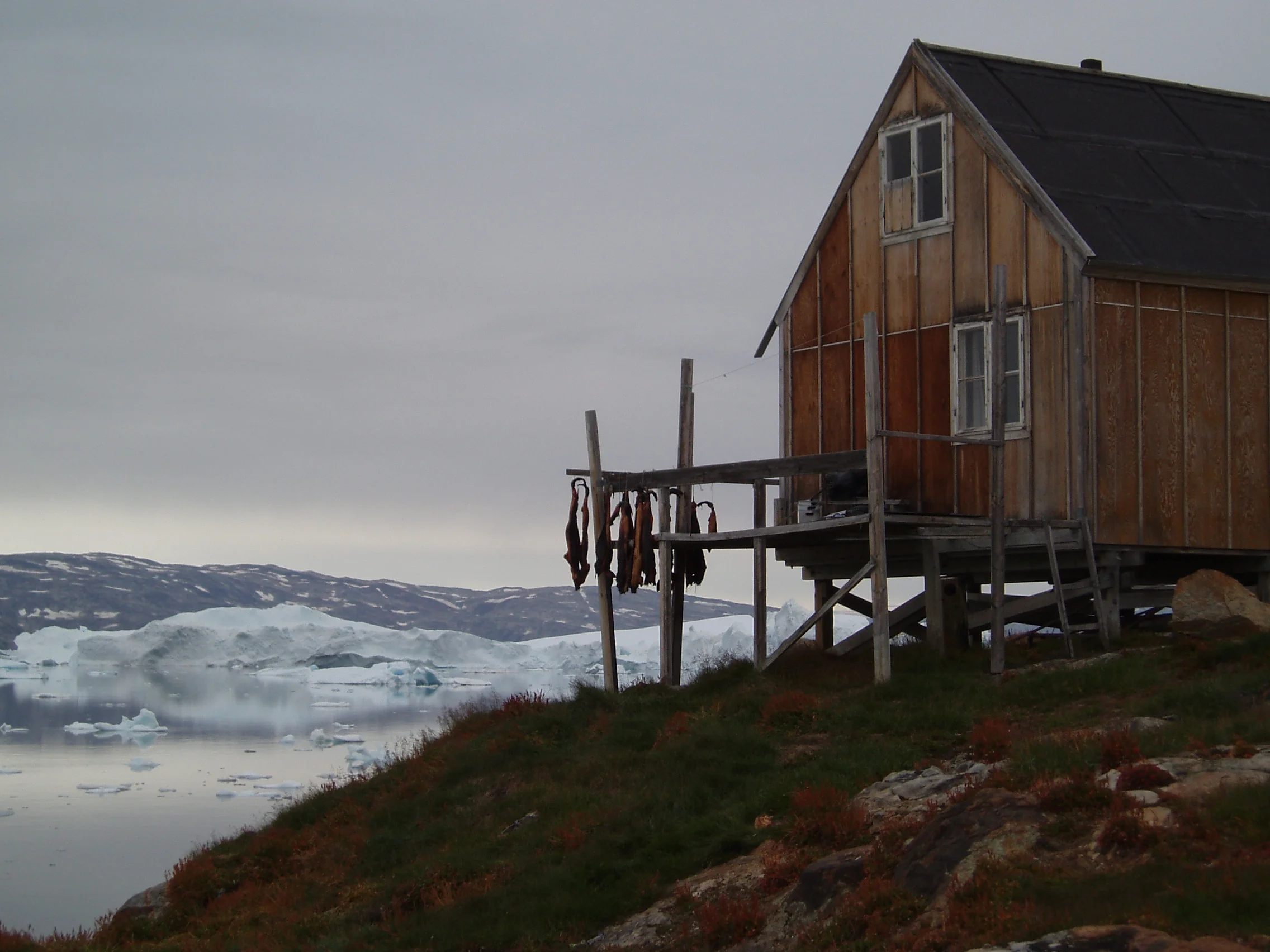  Fish drying, Tiniteqilaaq, SE Greenland 