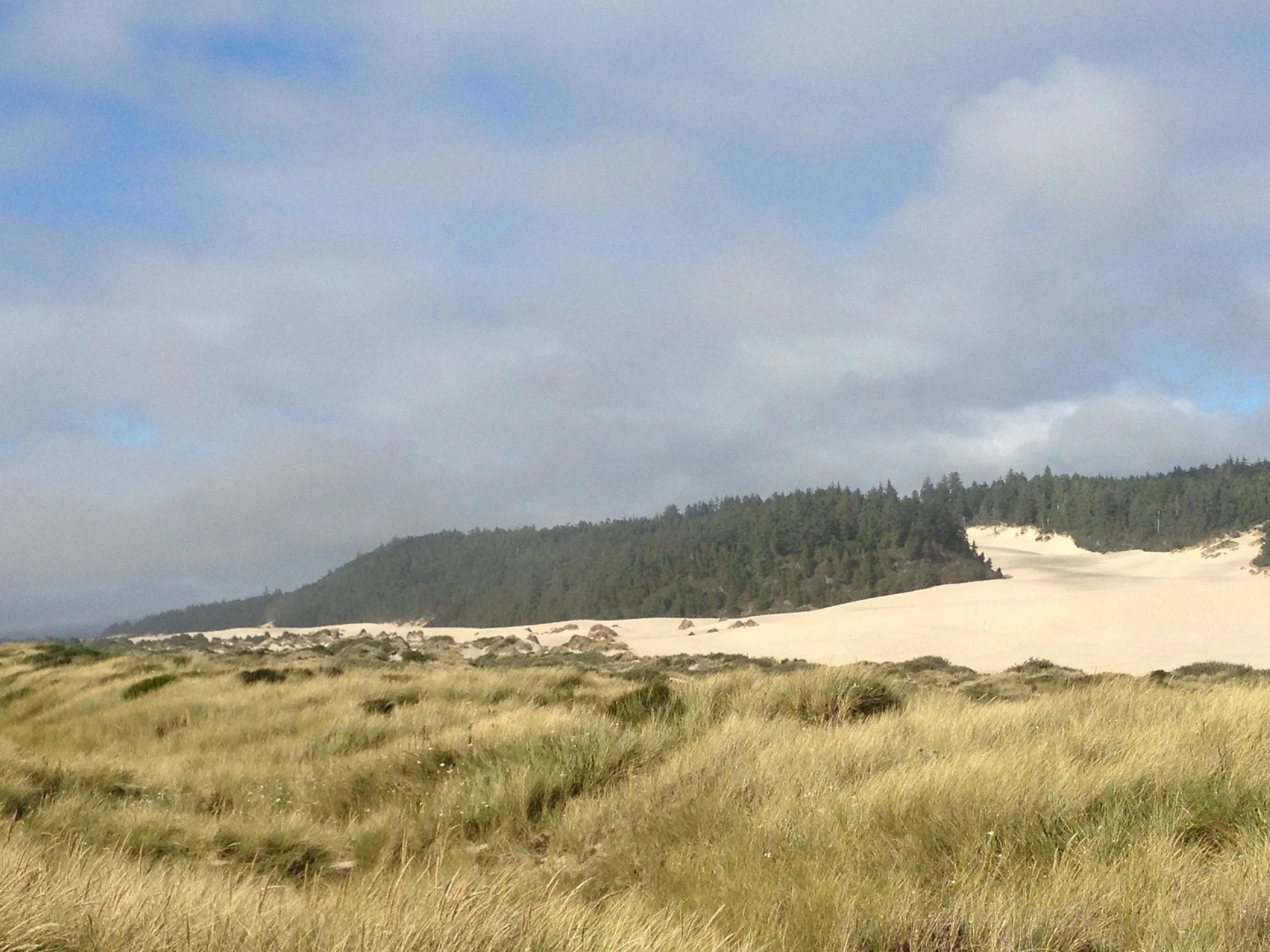  Dunes near Winchester Bay 