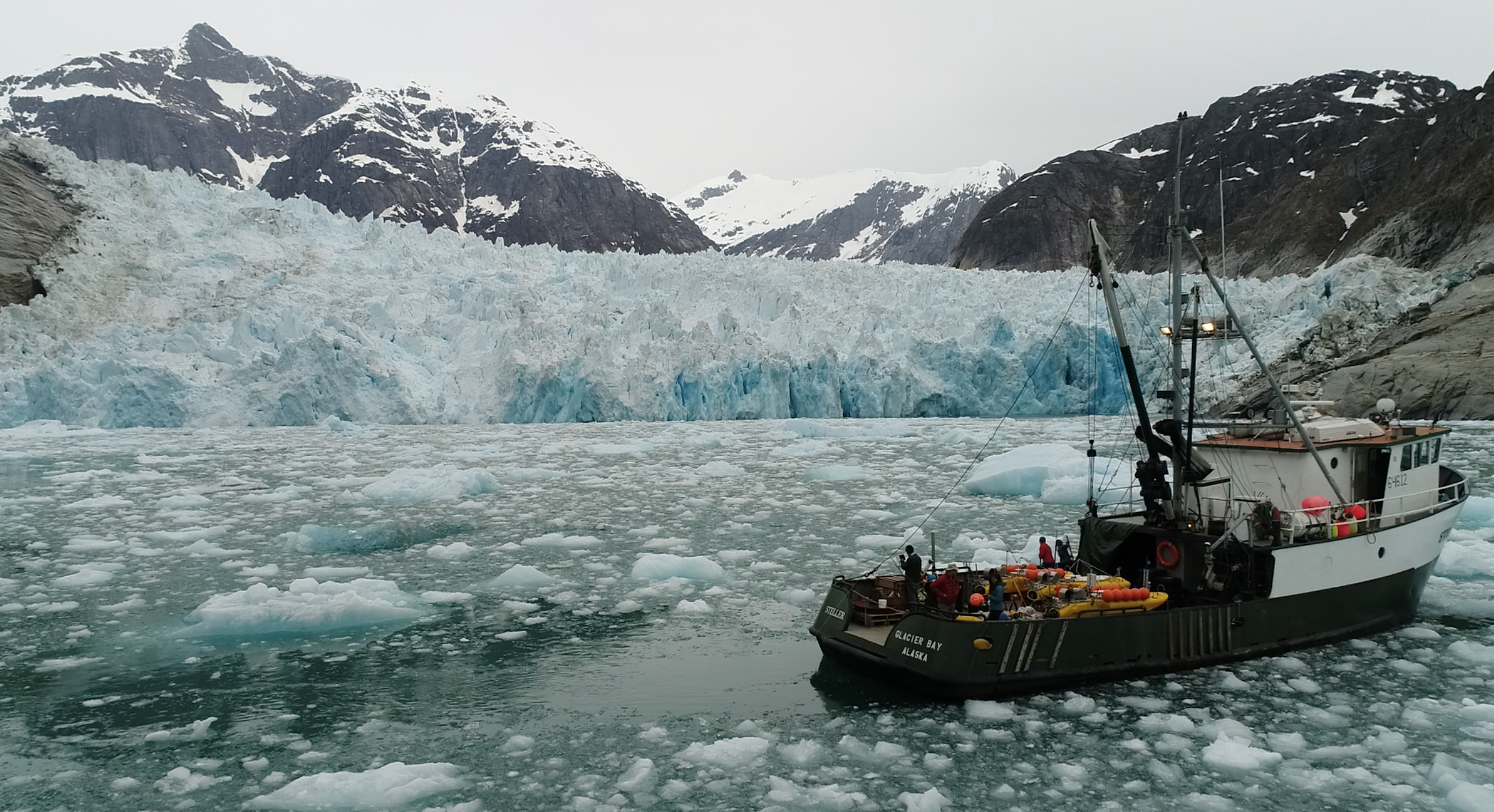MV Stellar in front of LeConte Glacier