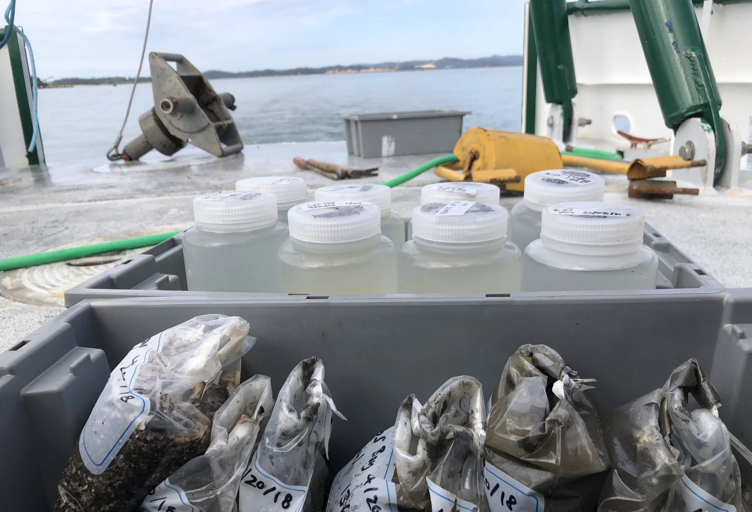 Successful sampling day on the Coos estuary