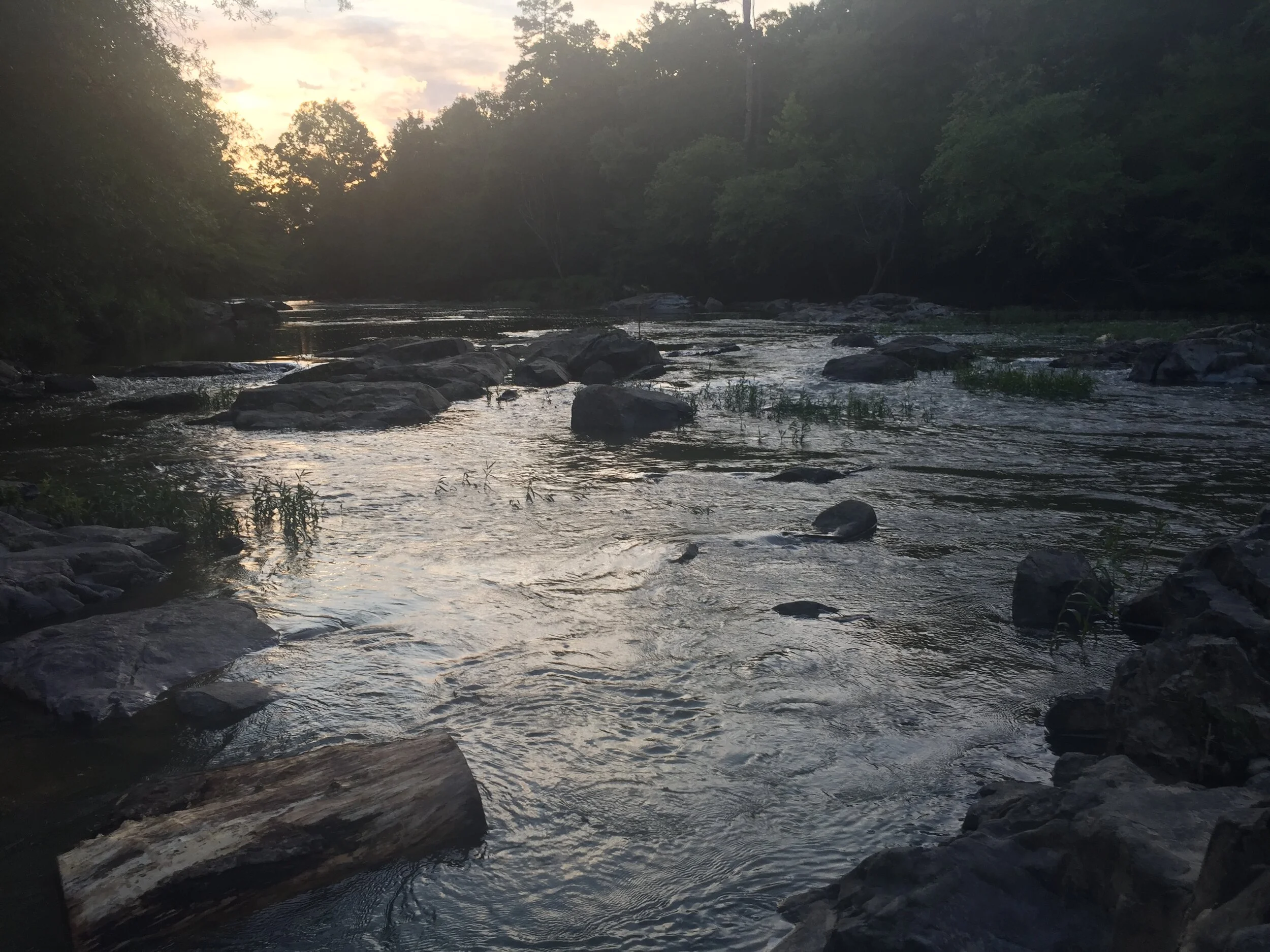 Eno River, summer 2020