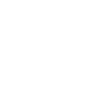 np_light-bulb_770937_FFFFFF.png