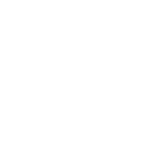 np_windshield-wiper_423_FFFFFF.png