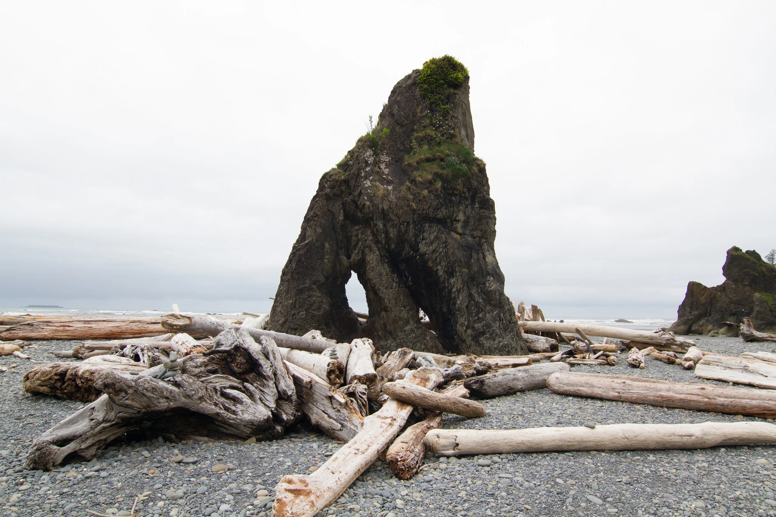 Canon Beach Washington Drift Woof Beach